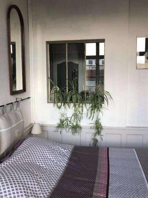 L'Omerade: Appartement De Charme Dans Une Maison Audomaroise Сент Омер Екстериор снимка